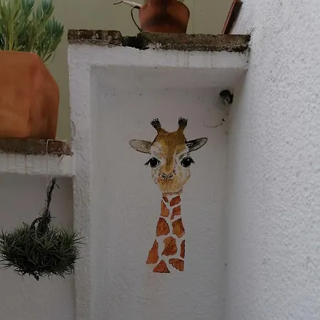 Old Side Duplex Appartement